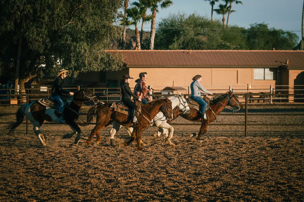 Team penning in the arena